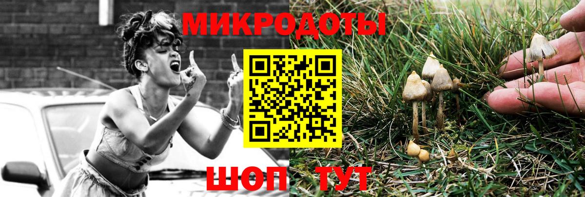 Галлюциногенные грибы Cubensis Ливны