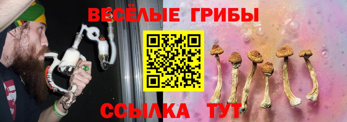 Псилоцибиновые грибы Psilocybine cubensis  Вход с VPN  Ливны  Галлюциногенные грибы Cubensis 